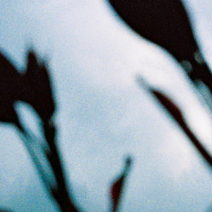 国产在线视频网
