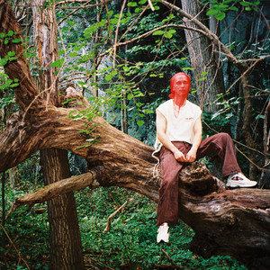 国产在线视频网
