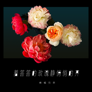 国产在线视频网
