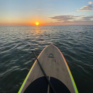 国产在线视频网
